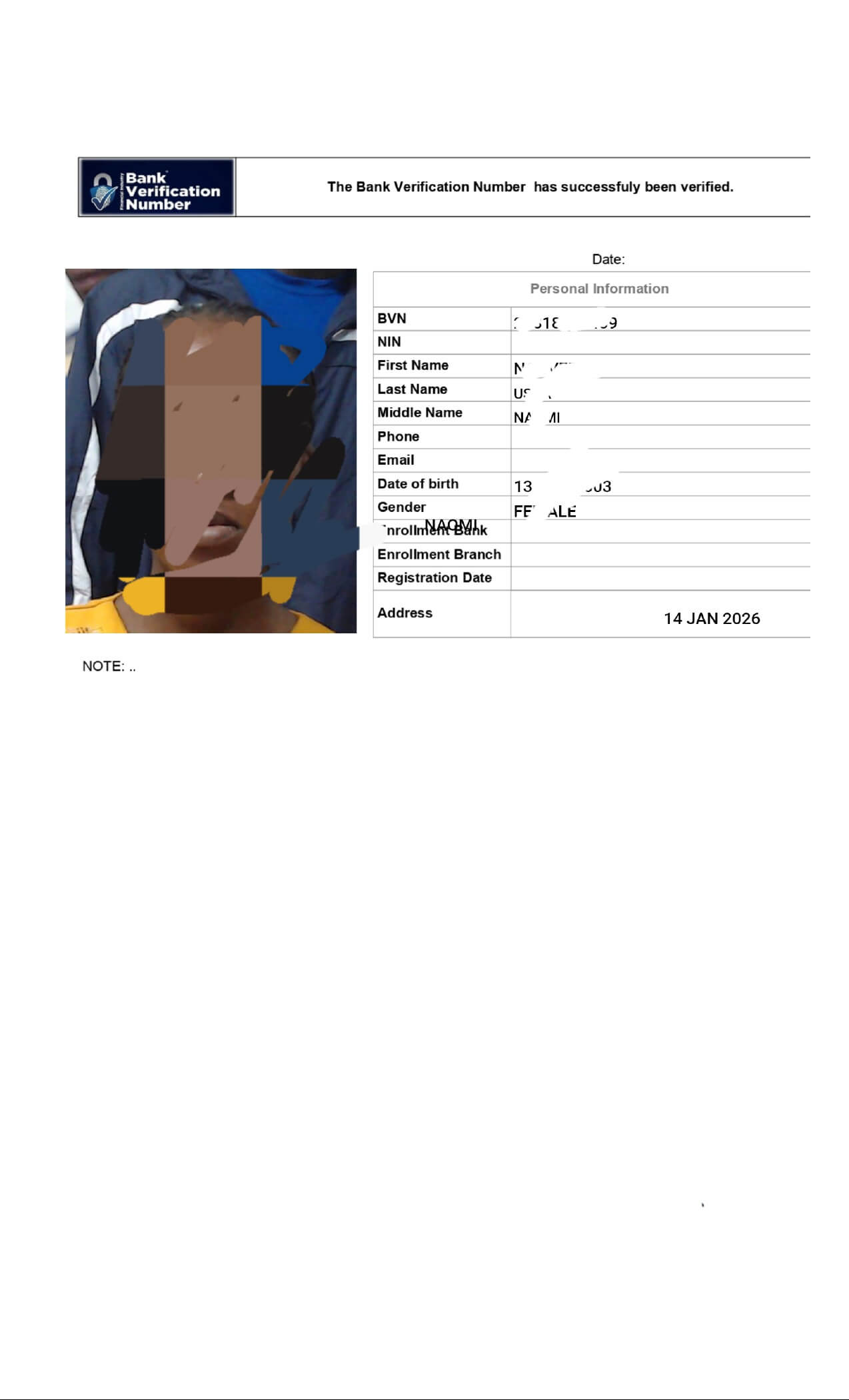 BVN printout sample